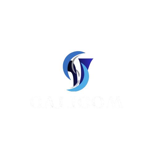 Digital Marketing Strategist In Calicut, Kerala